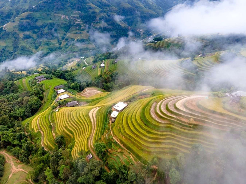 admiring-the-worlds-most-beautiful-terraced-fields