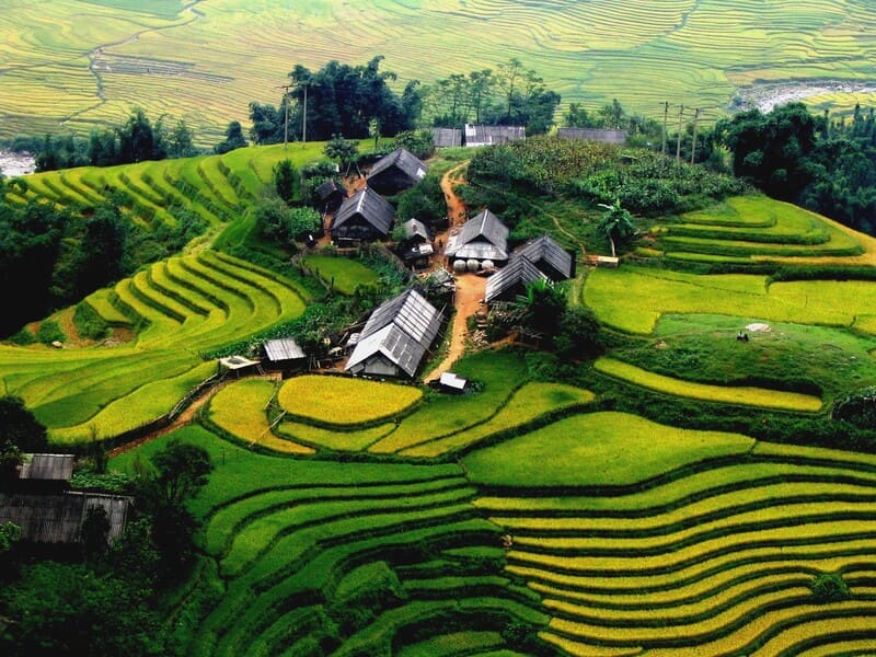 terraced fields in ha giang