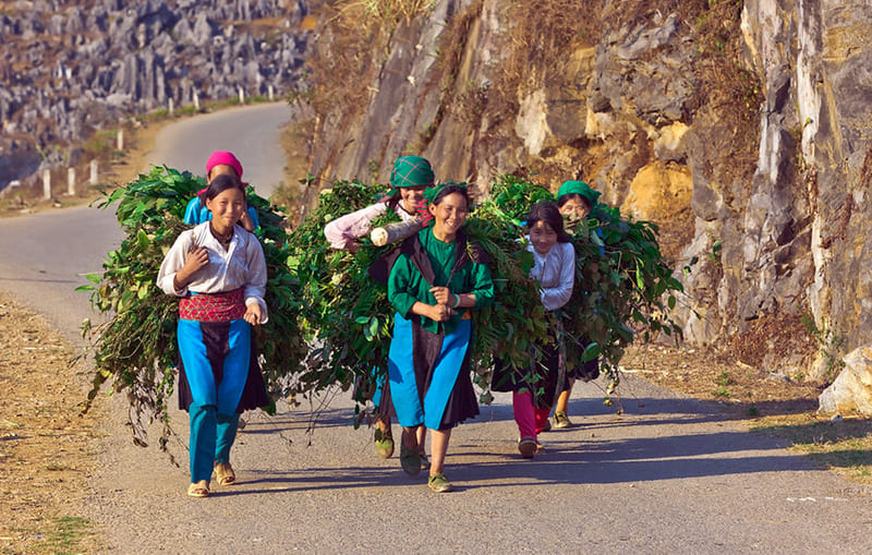 visit ethnic villages in ha giang